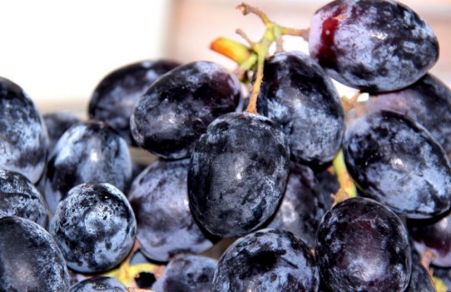 uvas en un racimo